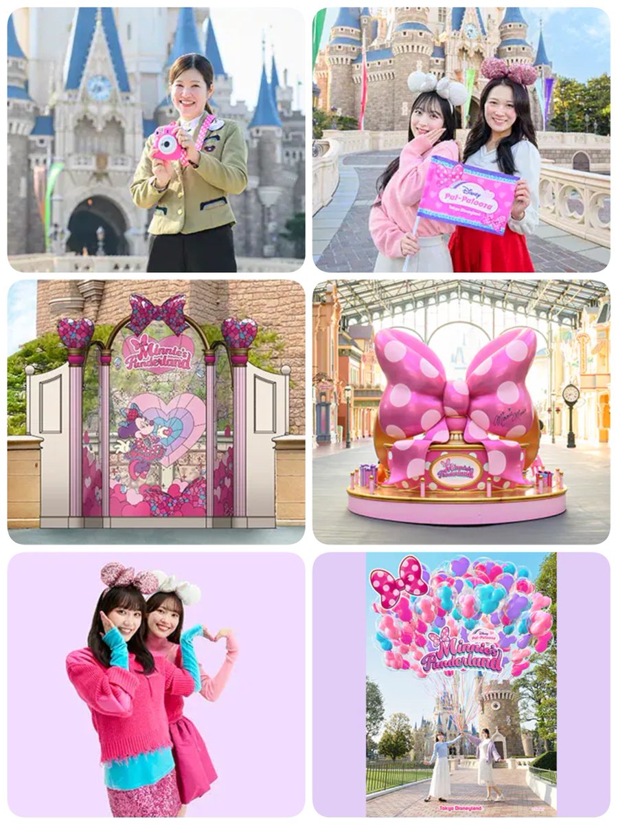 ━━━━━━━━━━━━ #東京ディズニーランド 「ミニーのファン