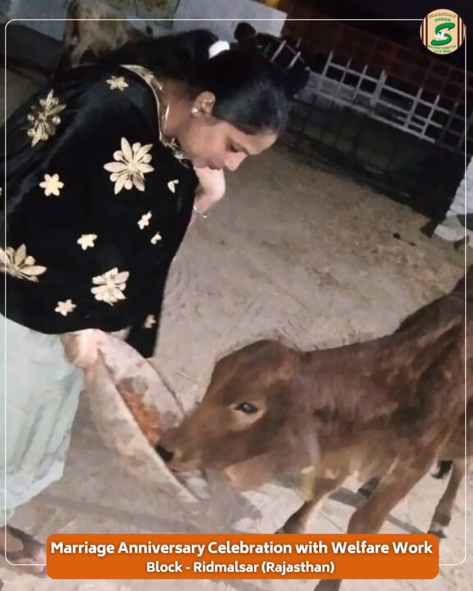 Shah Satnam Ji Green S Welfare Committee tweet media