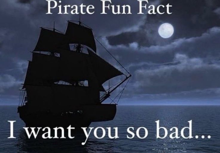 🕐HOURLY🕑 shitpost (@hourly_shitpost) on Twitter photo 