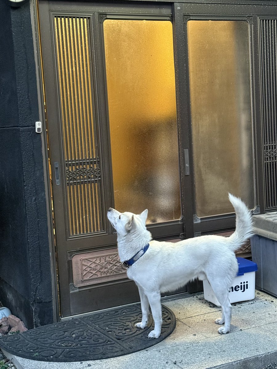 ゆうこりん (@yuukorin0527) / Posts / X