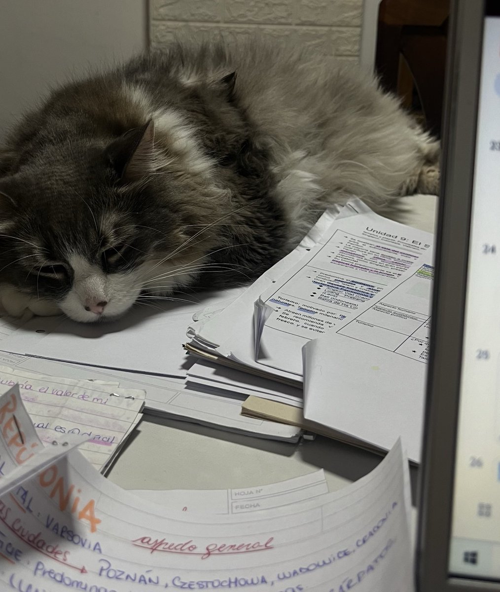 idreamofjxdn's tweet image. nadie m apoyó tanto como el😭