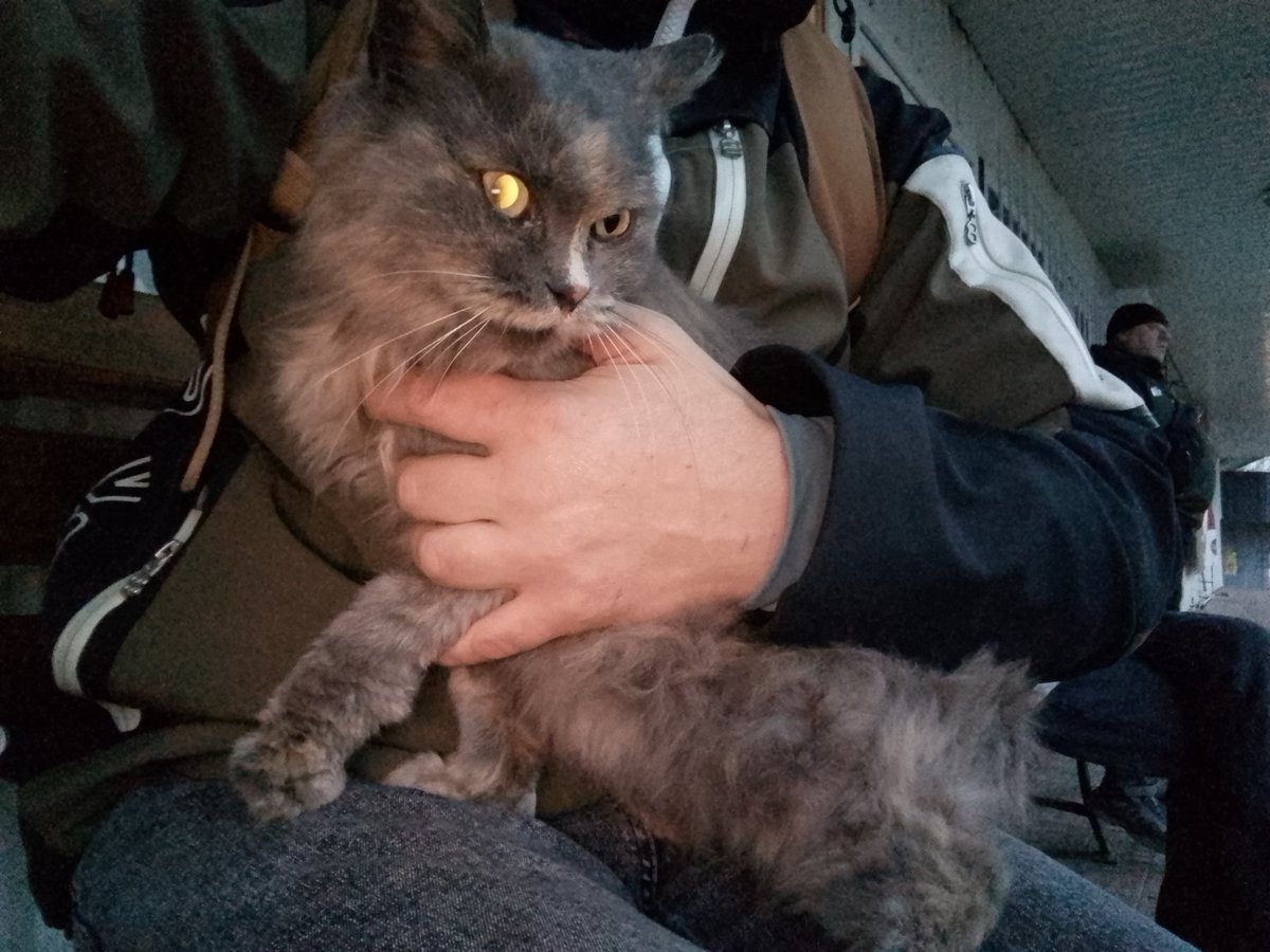 Маленька на місці...