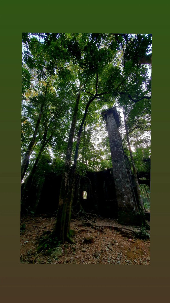 seon__holic's tweet photo. Delusion staff igs 🌳🌳🌳 https://t.co/hCqY2abNZs