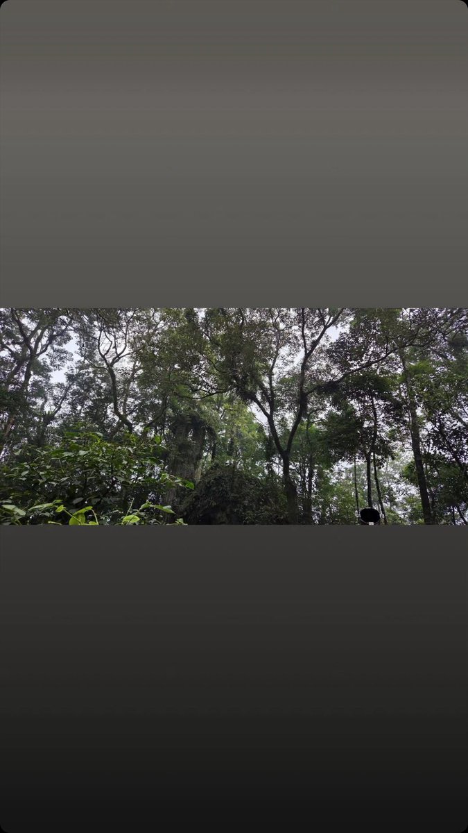 seon__holic's tweet photo. Delusion staff igs 🌳🌳🌳 https://t.co/hCqY2abNZs