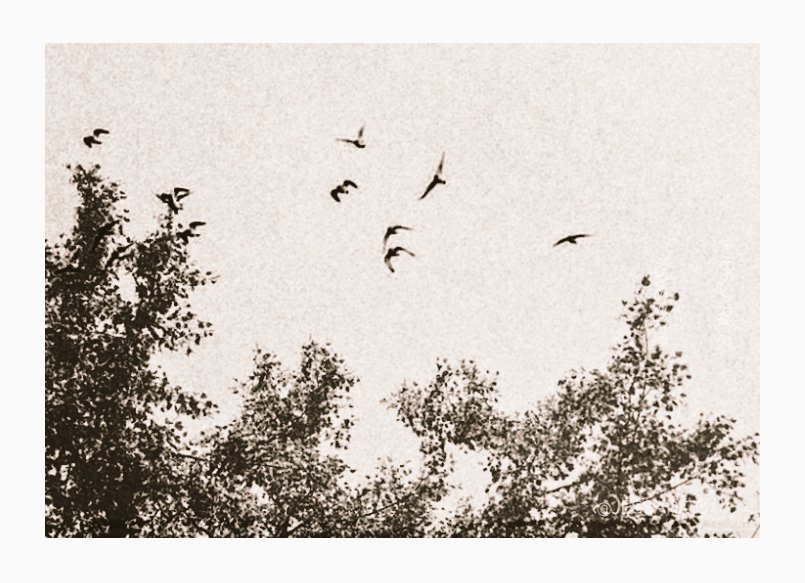 jessaricc's tweet image. “Every phrase and every sentence is an end and a beginning. Every poem an epitaph."
      — T.S. Eliot