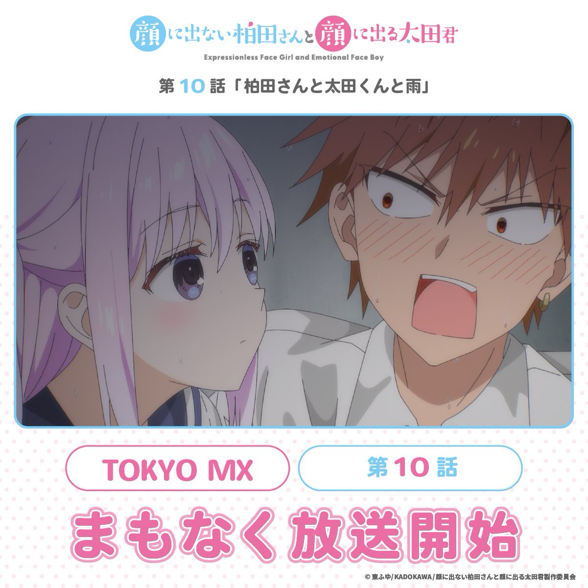 ◤￣￣￣￣￣￣￣￣￣￣￣￣￣￣￣￣￣ 顔に出ない柏田さんと顔に出る