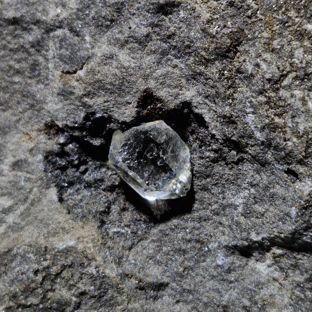 月のかけら tweet media