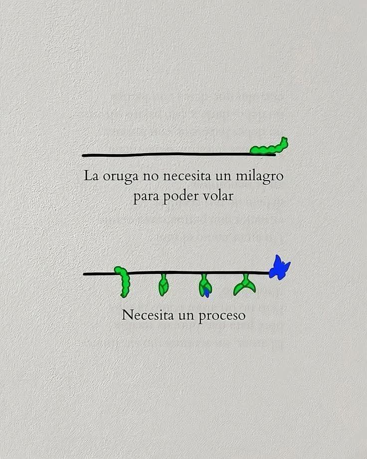 Buuuueeeenooooss diiiaaasss, vamos a por el martes con una gran sonrisa y motivación a topeee. Recuerda que hoy será un gran día para conseguir lo que te propongas 💪☕😊 #disfruta #atopeee #energíapositiva #motivacion #sefeliz #BuenosDiasATodos