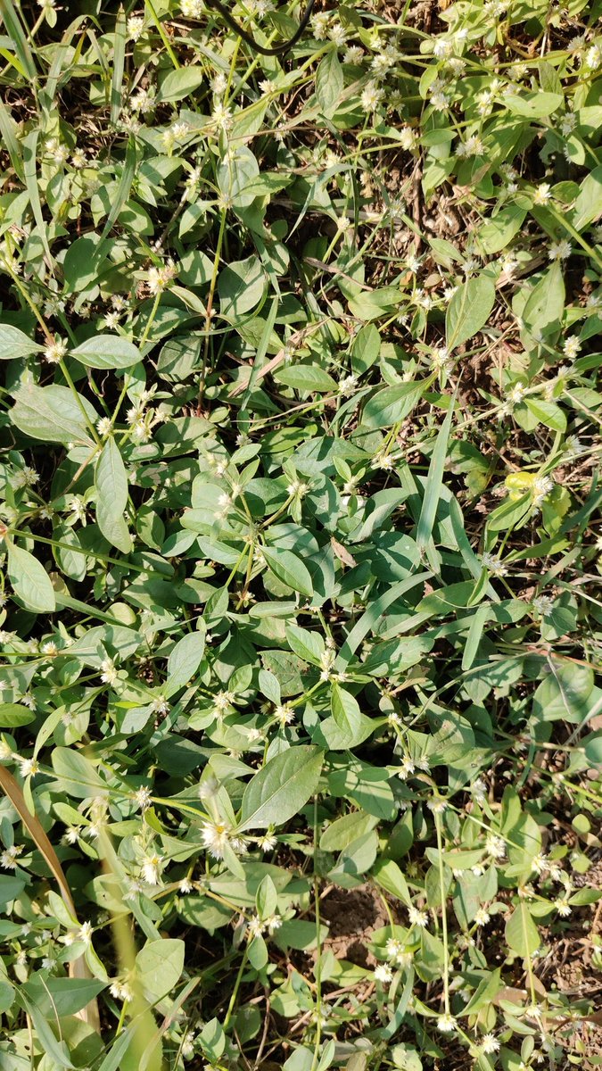 Sometimes the best reset is simple step outside, breathe, and touch a little grass.