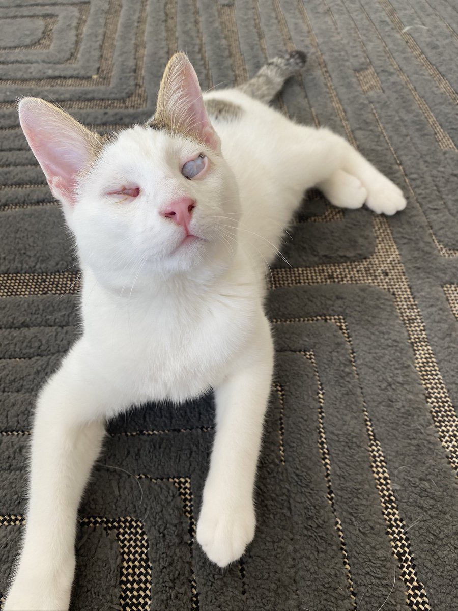 Gökyüsüüü kadar güzelim dimiiiiii