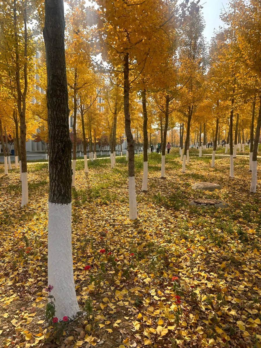 空气变得凌冽 我听到电吉他的《刻在我心底的名字》又进到了秋天