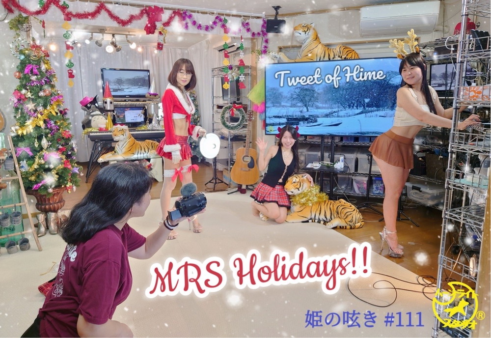 tarazuna_hime's tweet image. クリスマス仕様と云えども、いつもの撮影です。でも御飾りの色合いは複彩です。
複彩っていうのは、輝度が点在する彩りです。だから、どの方向を向いても絵になります。
撮影が簡単って云う意味ではないのですが、構図の決定が遣りやすいです。姫