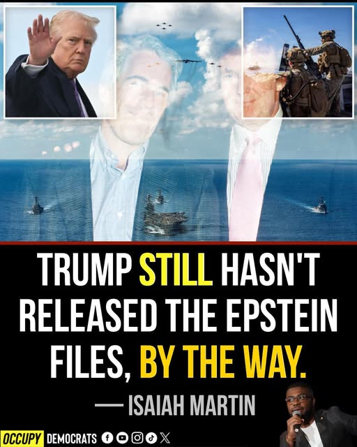 Trevor_Allan_1's tweet image. 