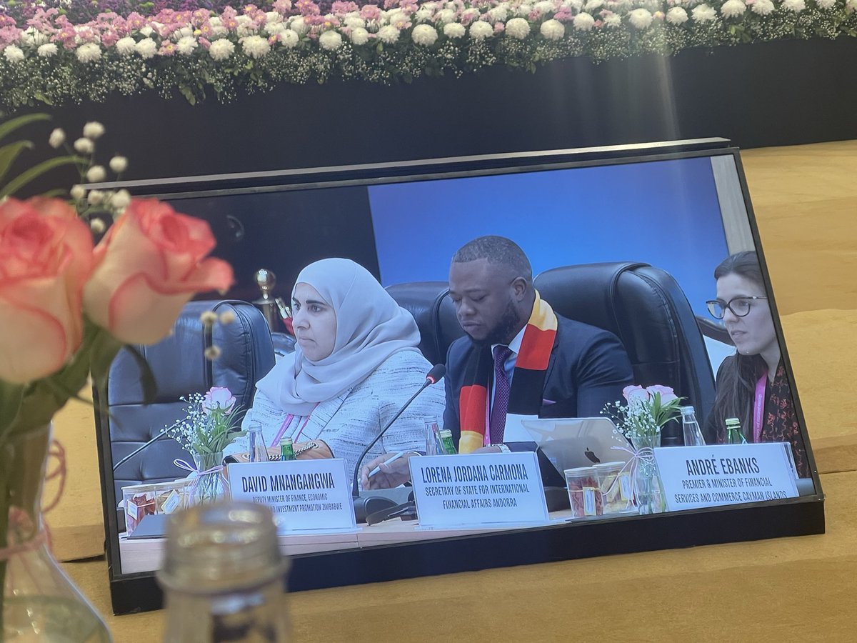 Deputy Minister of Finance, Government of Zimbabwe on joining the international fight against offshore tax evasion 
#GFplenary2025