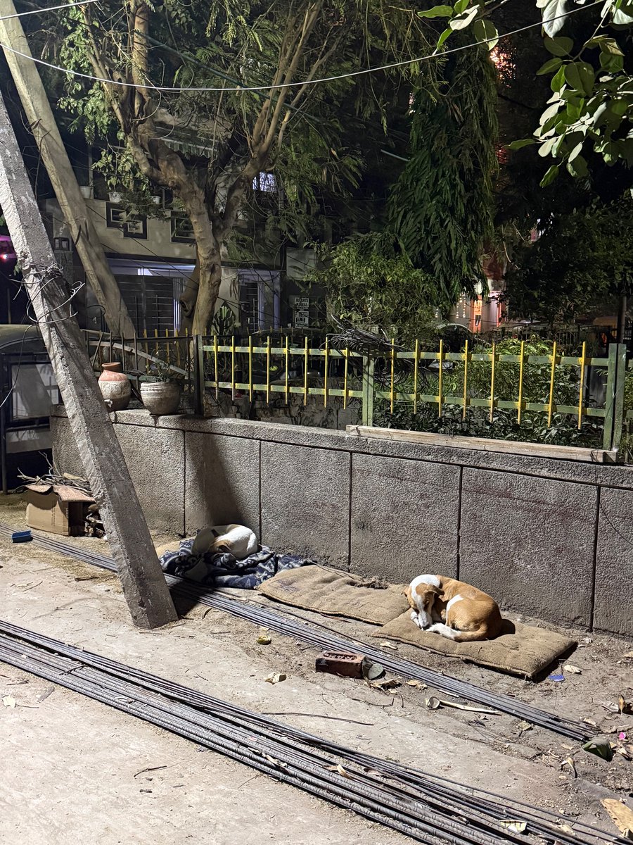 shivamdwn's tweet image. It’s that time of the year 🥰