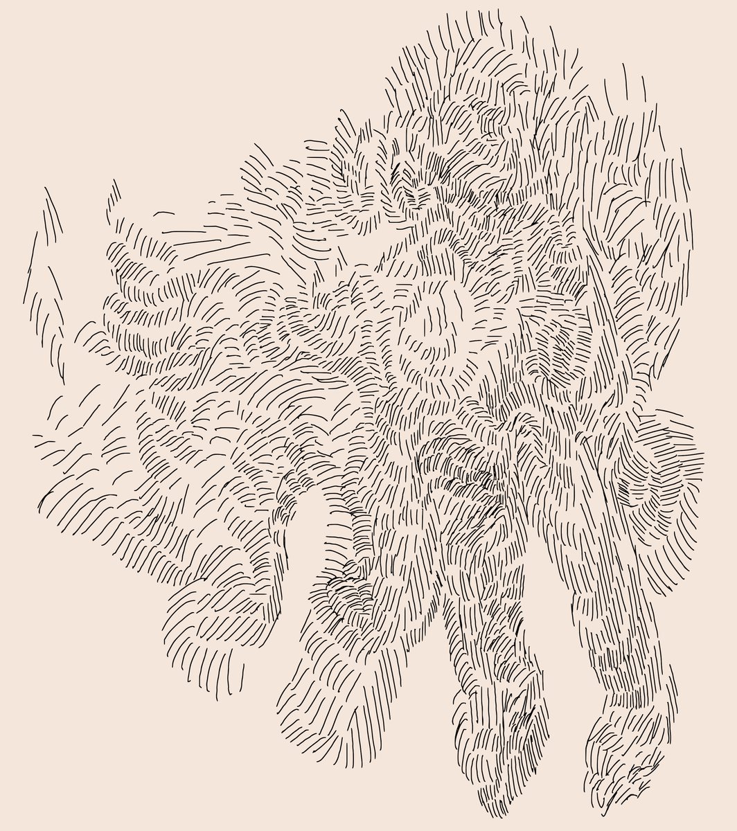 ttiimmees's tweet image. 