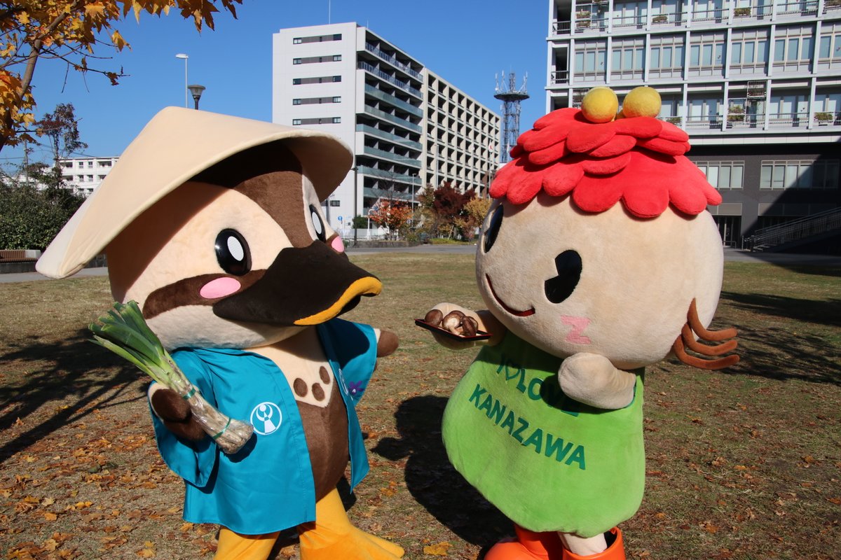 ほどぴーの横浜ぐるり旅 ～金沢区編～✨🤝 ＼ 大きな牡丹がかわいい