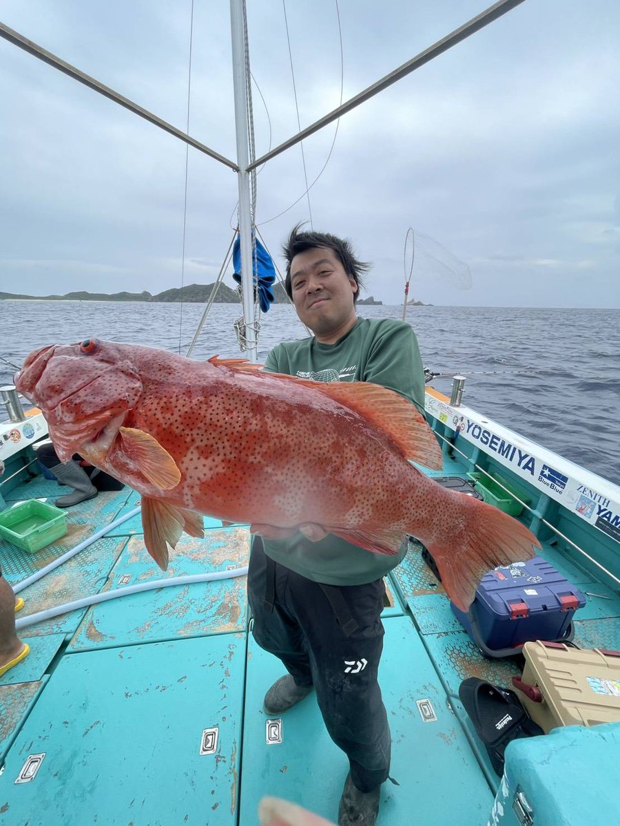 anman001's tweet photo. 今年3回目の沖縄遠征

念願の高級魚アカジン、シガテラ毒率99%のアカナー等今回も超大型大量ヒット！ https://t.co/OpR1ZaAZ4E