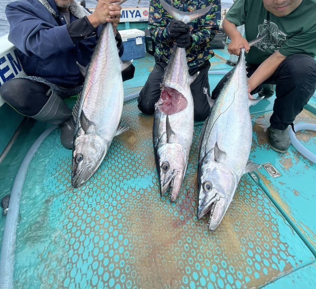 anman001's tweet photo. 今年3回目の沖縄遠征

念願の高級魚アカジン、シガテラ毒率99%のアカナー等今回も超大型大量ヒット！ https://t.co/OpR1ZaAZ4E