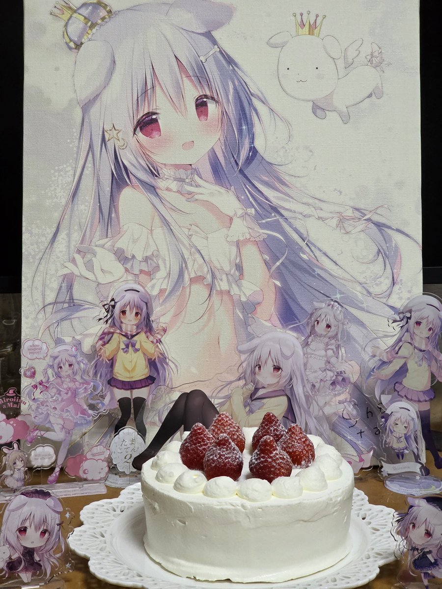 しらたま❄️『星シロ』Switch版12/11発売🐈‍⬛🚂🌟 (@shiratamacaron