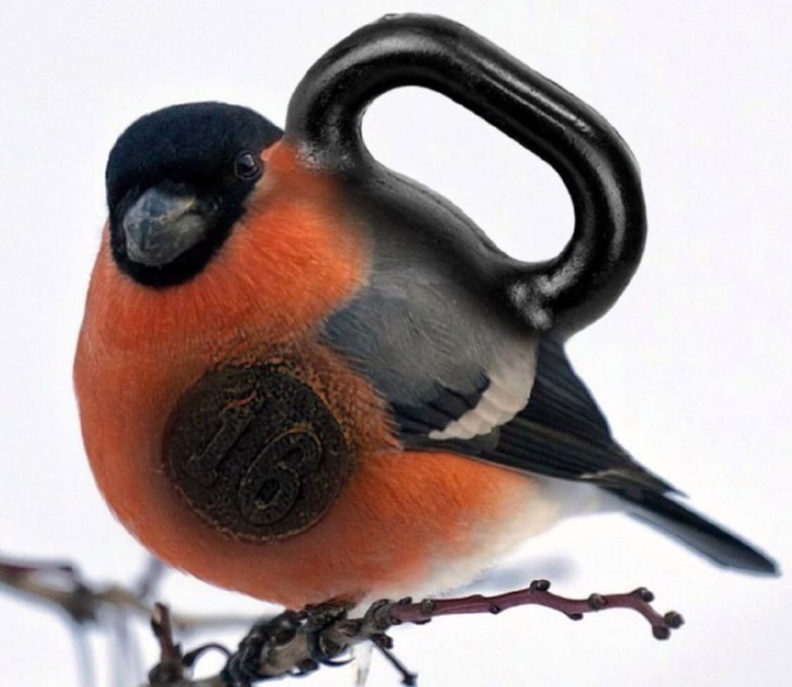 DerArto's tweet image. Сегодня ровно 3 года, как мы традиционно поздравляем адвоката Иванушек International с выигранным судебным процессом по изъятию этой фотографии из интернета