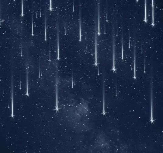 LovelyCuteDaily's tweet image. 