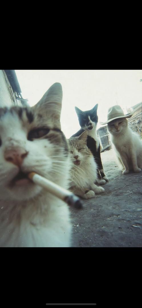 digitsfx's tweet image. Good morning my mutuals 🤝 what the deal of the day 😌