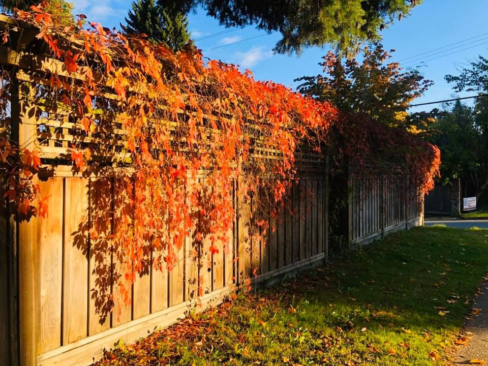 Adam Hiroto (@adamhiroto) on Twitter photo 