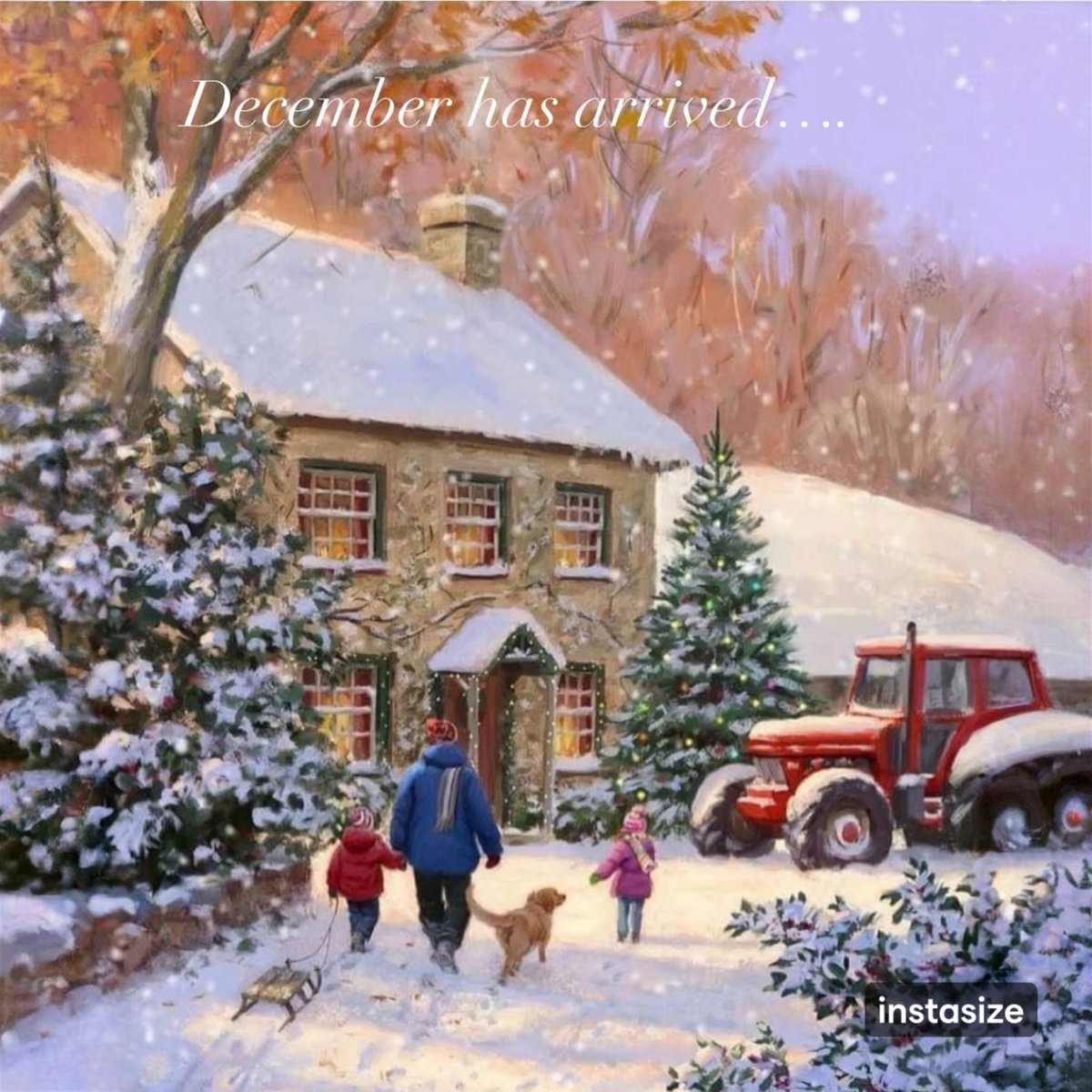 Cramlington & District Red Squirrel Group tweet media