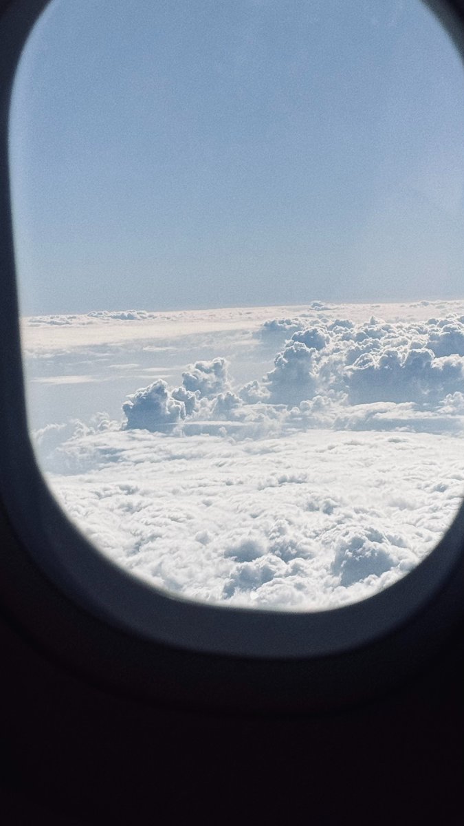 Ark Dynamics tweet media