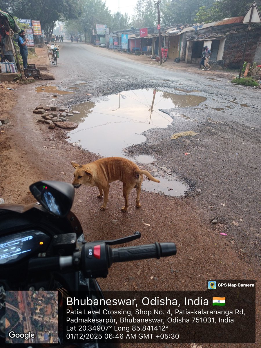 subhransunath87's tweet image. Near Patia level crossing, there is a big hole on the road. 4-5 months ago the road work has been done and now this is the condition. So much difficulties are facing by people as it is a busy road. So I request kindly look into this matter and solve the issue. 
@homeodisha #BBSR