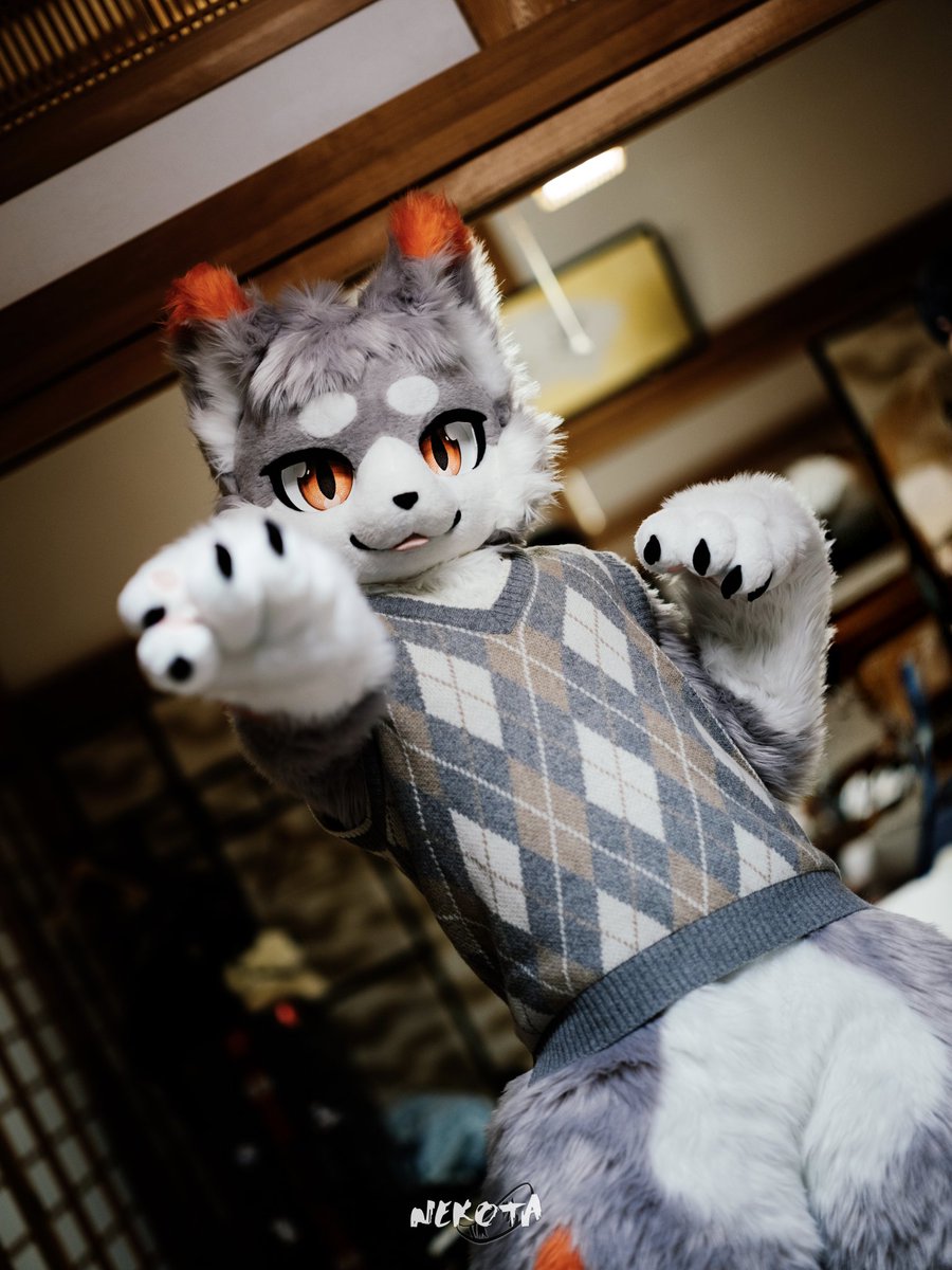 ネコタ@NEKOTA➡WFF (@hinekota) / Posts / X