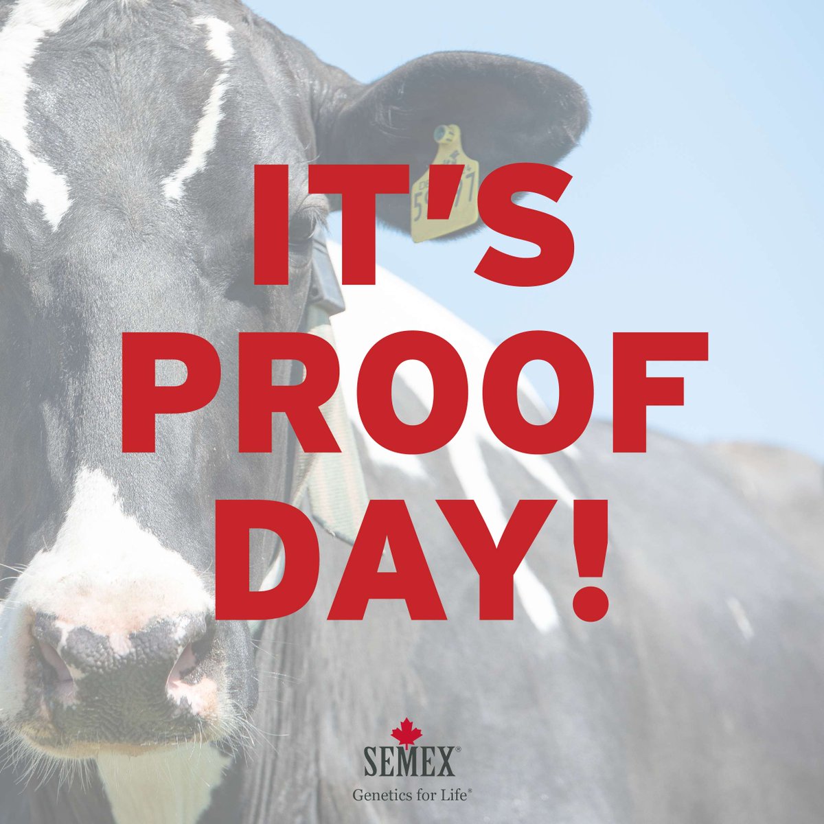 Today is the day...Its Proof Day! 👀
#December25Proofs #geneticsforlife