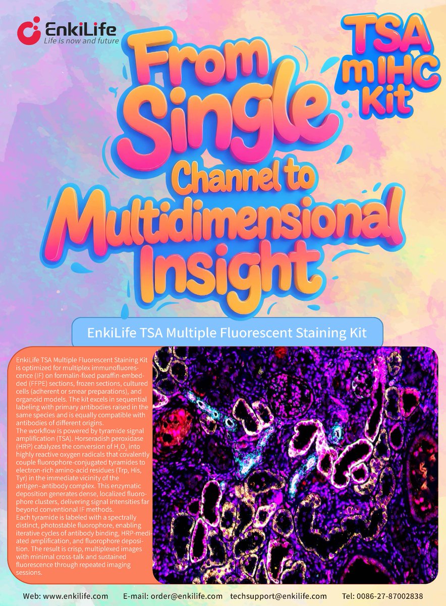 EnkiLifeScience's tweet image. 🔬 Introducing EnkiLife&apos;s TSA Kit – now achieve up to 7-plex immunofluorescence on ONE slide with high sensitivity. All-in-one design, works across FFPE, cells, and organoids.

👉 Learn more: enkilife.com/tsa-kit

#MultiplexImaging #SpatialBiology #Immunofluorescence #Biotech
