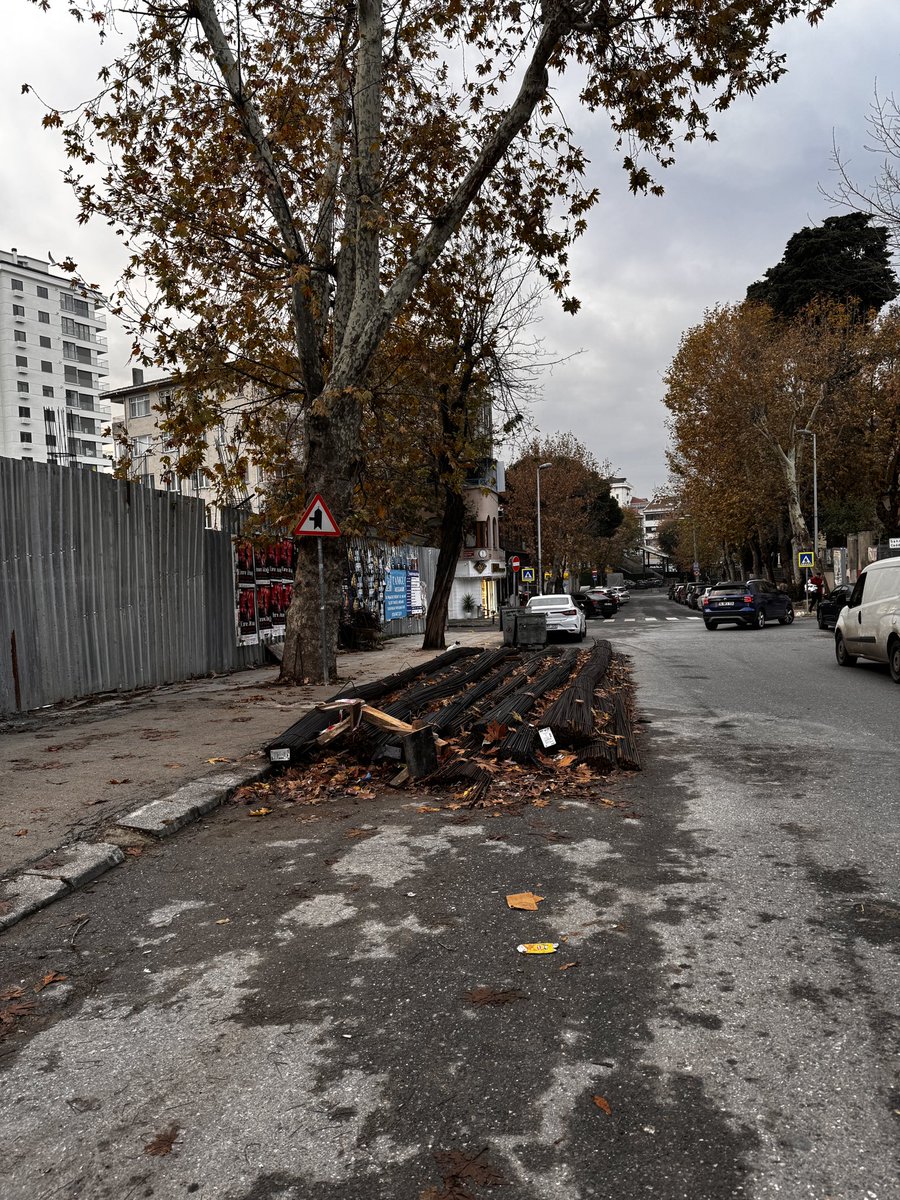 srknlvnt tweet media