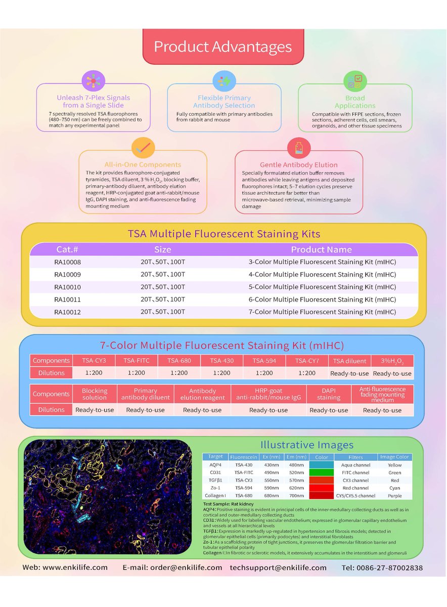 EnkiLifeScience's tweet image. 🔬 Introducing EnkiLife&apos;s TSA Kit – now achieve up to 7-plex immunofluorescence on ONE slide with high sensitivity. All-in-one design, works across FFPE, cells, and organoids.

👉 Learn more: enkilife.com/tsa-kit

#MultiplexImaging #SpatialBiology #Immunofluorescence #Biotech
