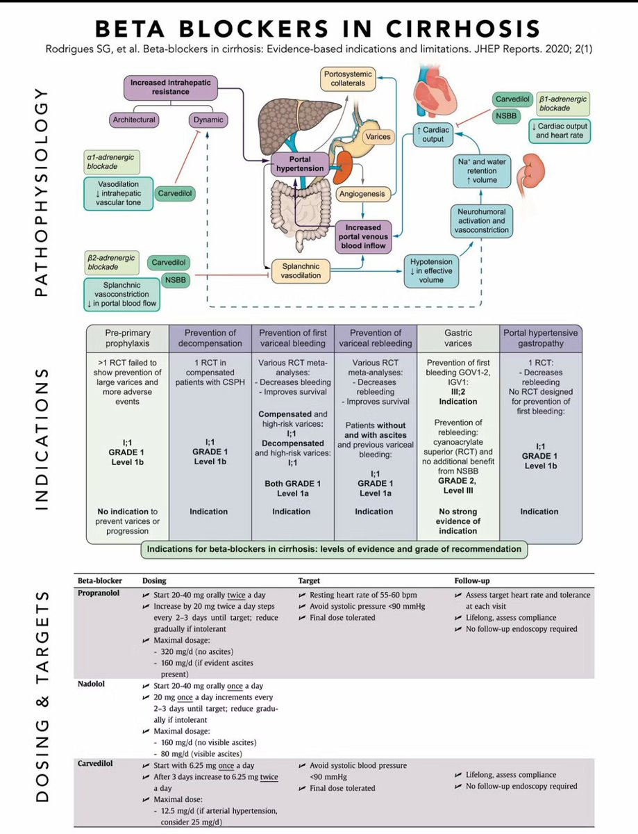 Beta Blockers in Cirrhosis
By Dr. Asim
X <a href="/pharmed0929/">pharmacy by asim</a>