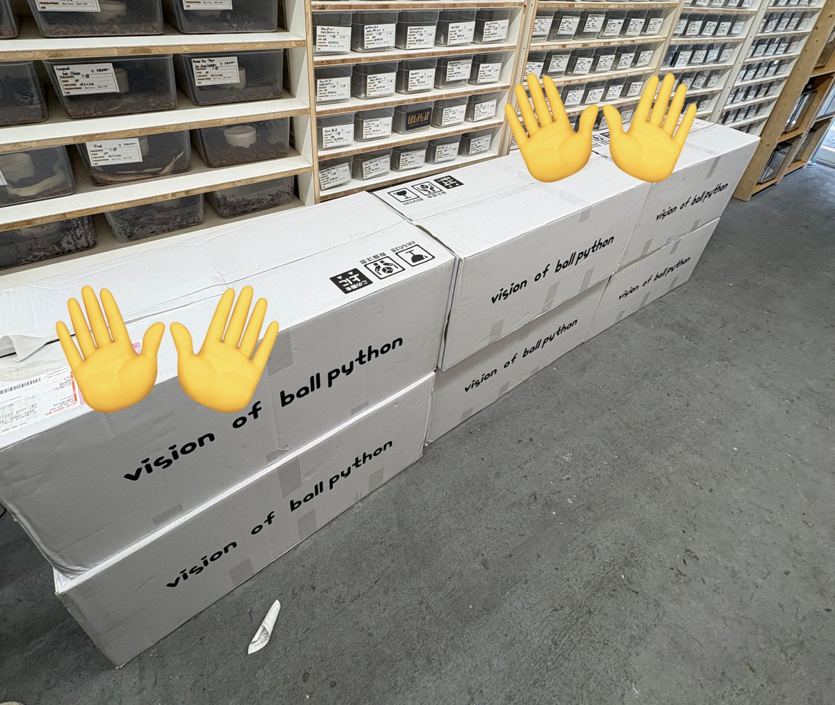 okashinashippo's tweet image. vbpさんからタブ購入しました✨

ボールの親追加また決まったので、また改めて注文したいと思います💦

@vbp_ballpython