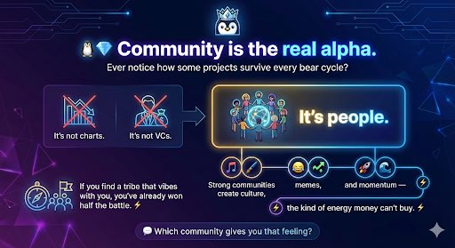 tranquilionaire's tweet image. #Pulse 🐧💎 Community is the real alpha.
Ever notice how some projects survive every bear cycle?

It’s not charts.
It’s not VCs.
It’s people.

Strong communities create culture, memes, and momentum — the kind of energy money can’t buy.
If you find a tribe
 pulse.social/pulse/invite-f…
