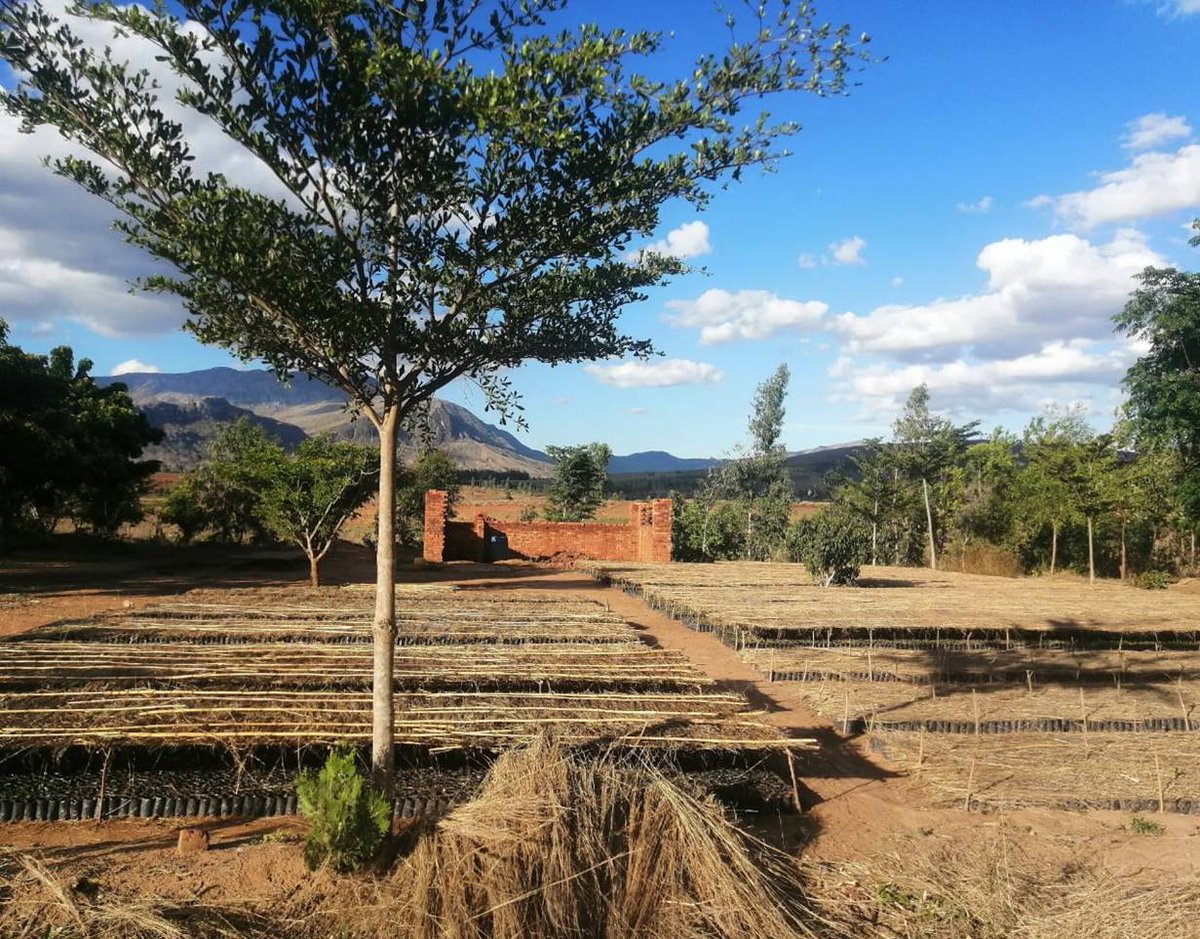 FIDA-Madagascar tweet media