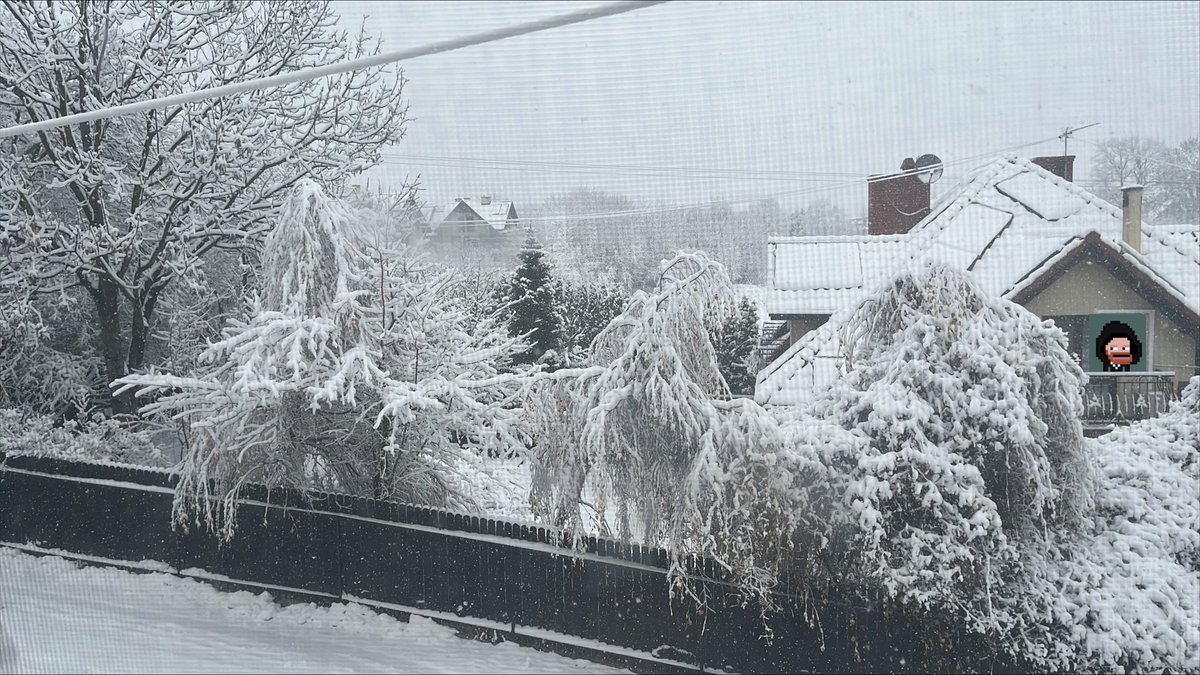 Things getting wild....