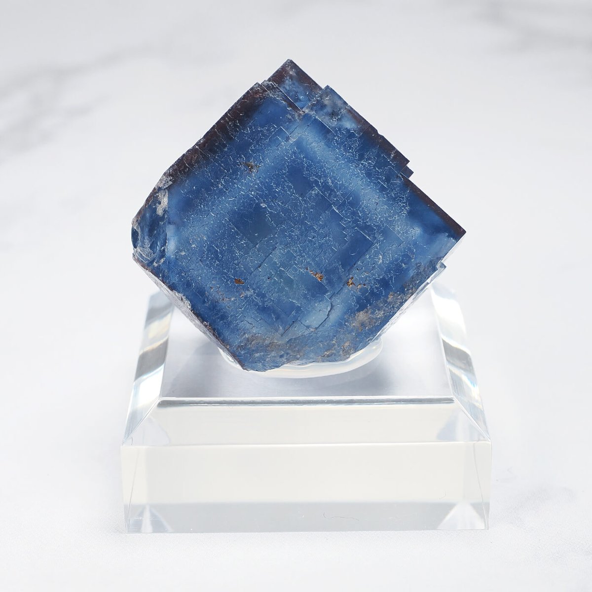 ツグミ (@cvbIJb9dF2zBrbT) / Posts / X