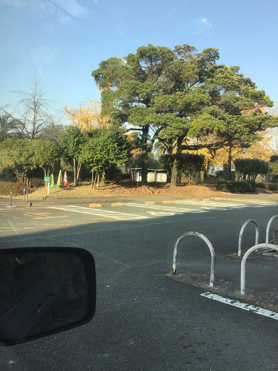 1981_tk's tweet photo. なんとなく来てみた！ https://t.co/oLXd6v0q6K