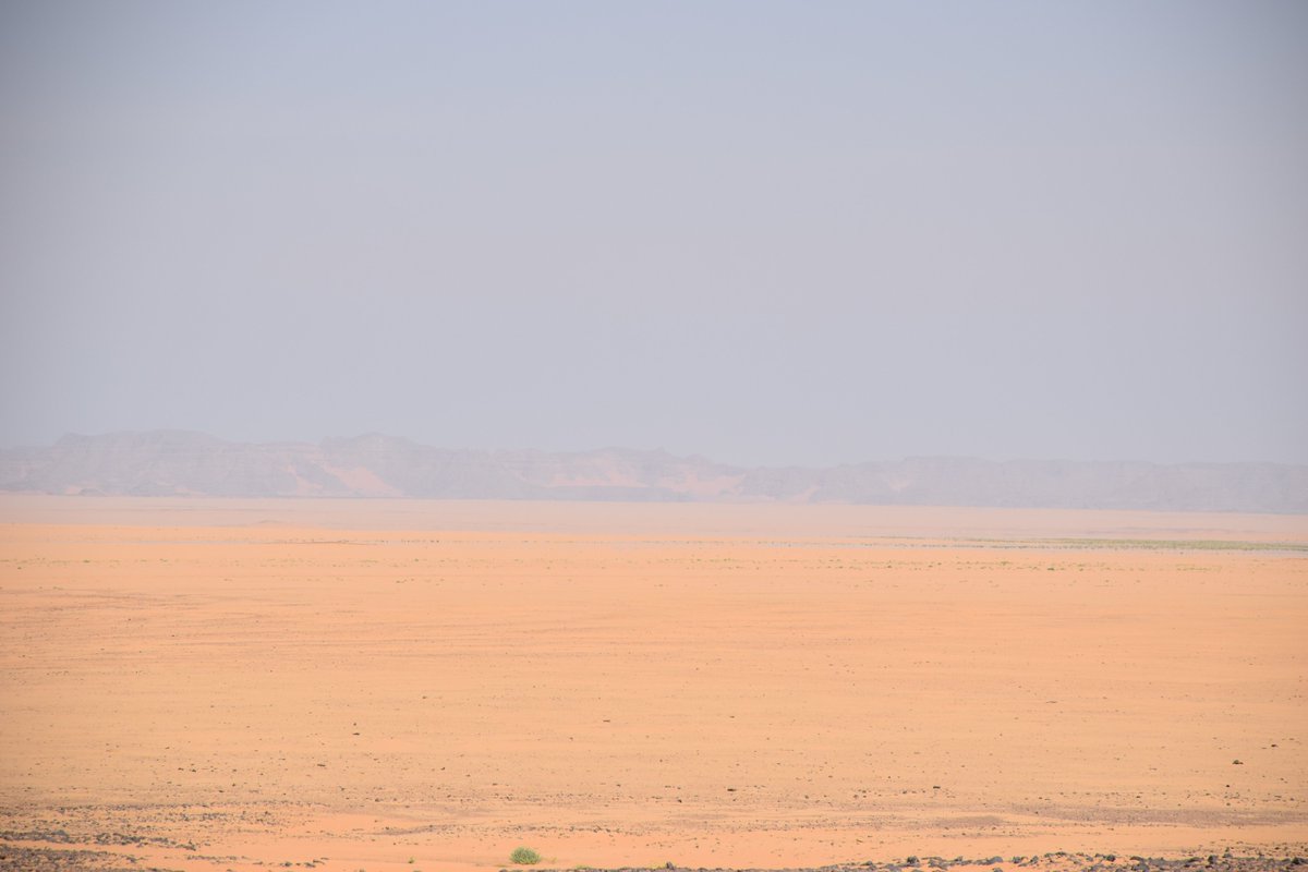 Atbai Survey Project مشروع مسح ايتباي tweet media