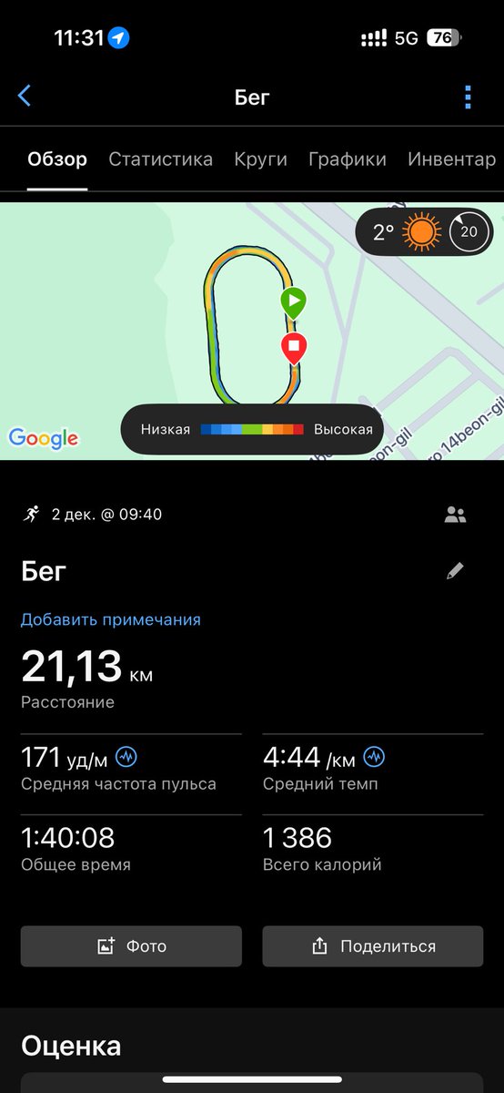 попугай кешью tweet media