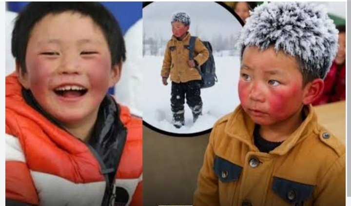 Firozakpathan's tweet image. -9 डिग्री में 3 मील चला बच्चा, सिर पर जमी बर्फ

चीन का 8 साल का वांग फ्यूमन उस सुबह अकेला निकला था. रास्ता 3 मील लंबा, तापमान माइनस 9 डिग्री… हर कदम पर बर्फ उसके पैरों को जमा रही थी.

चलते-चलते उसकी भौंहों पर बर्फ जम गई, बाल सफेद हो गए, गाल ठंड से जलने लगे. पर उसने रुकना नहीं…