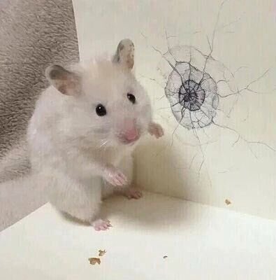 fairyvobo's tweet image. all of yukination mad right now