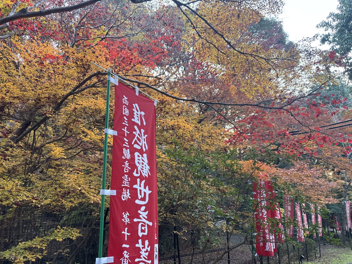 itmaroon2014's tweet photo. 【西国11番醍醐寺】 紅葉の季節にやってきました。これまで紅葉の時期に来たのは初めてです。 https://t.co/BVKZCA3F1Z