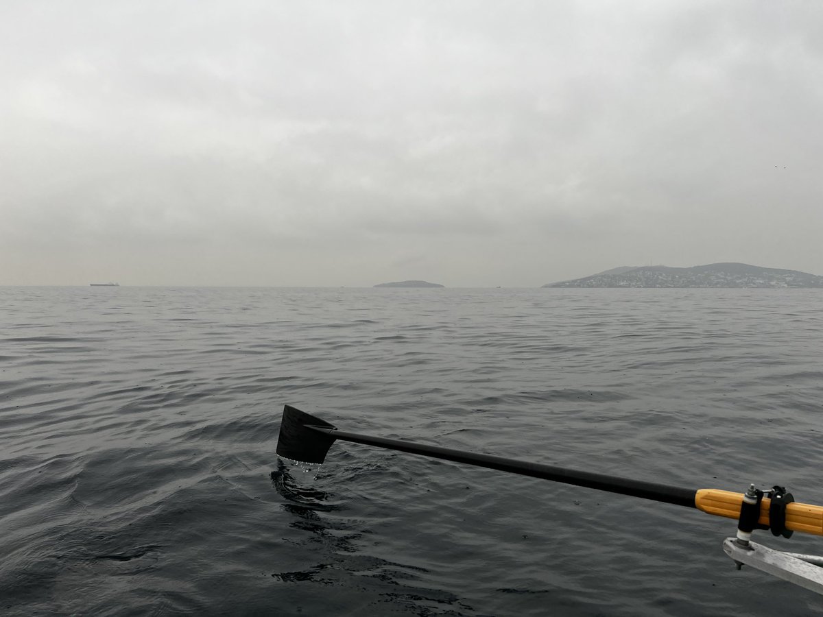 İyi insanlar.
Günaydın.😎