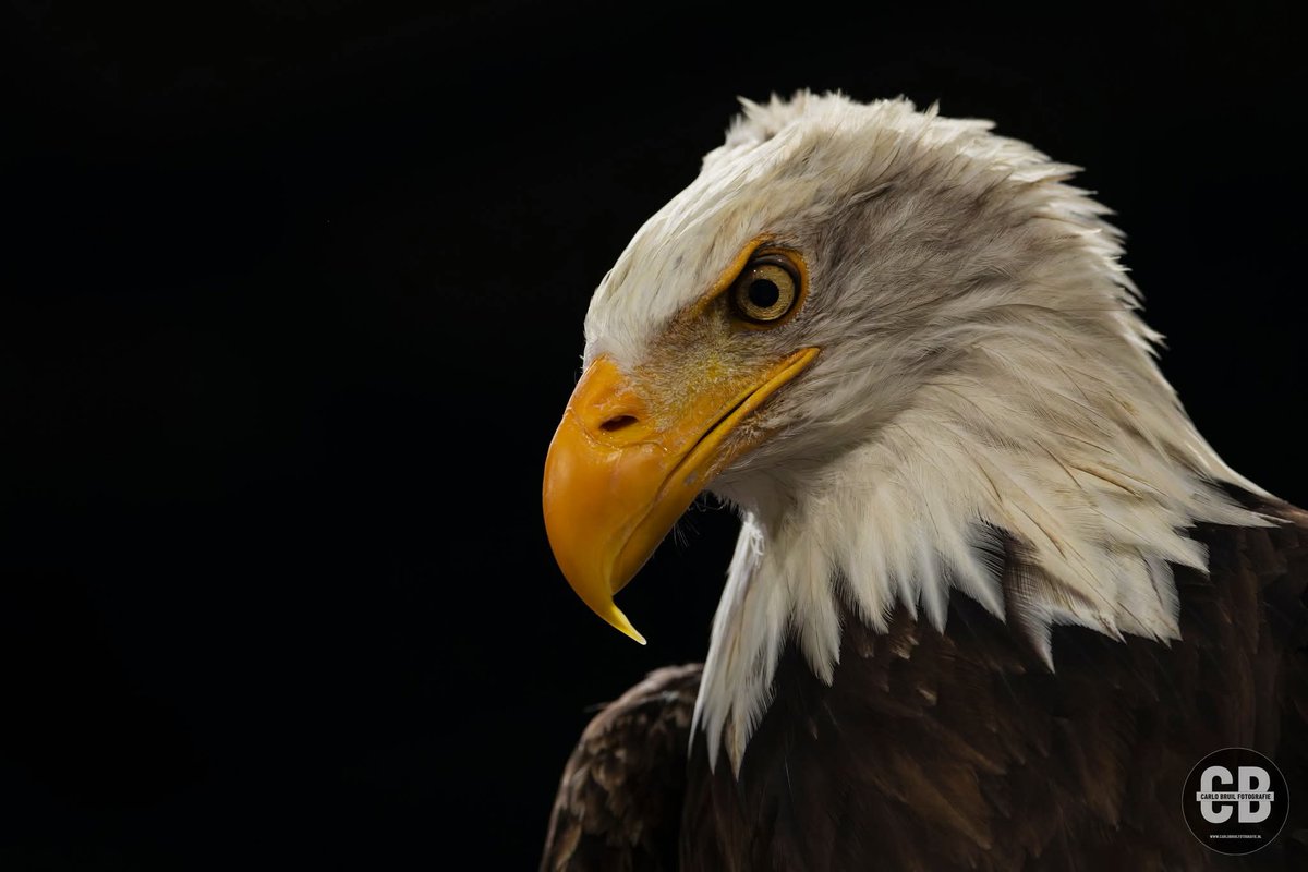 ❤️💛123jaar❤️💛